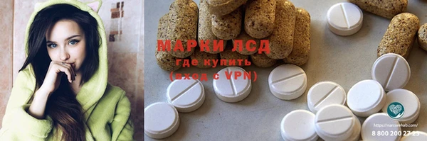 сатива Аркадак