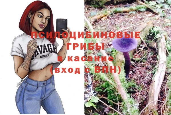 дмт Арсеньев