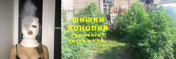 сатива Аркадак