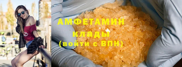 сатива Аркадак