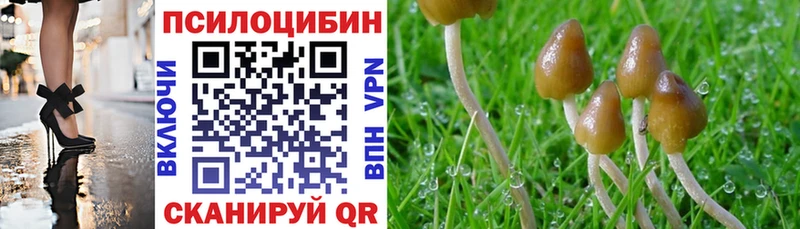 Галлюциногенные грибы MAGIC MUSHROOMS  наркотики  Заволжск 